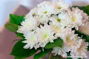 Какие-цветы-подарить-белые-хризантемы