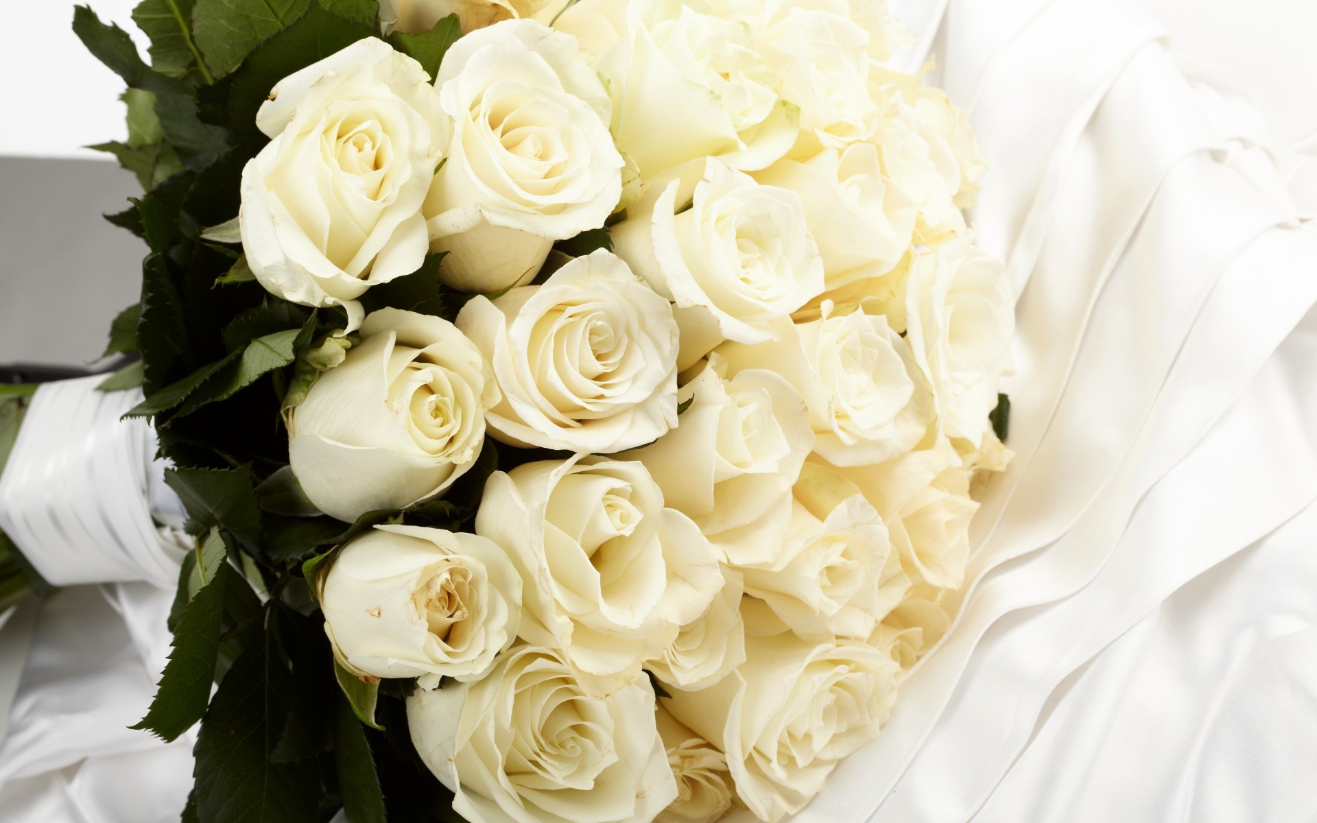 Цветы розы, белые, цветы, букет, ткань обои рабочий стол. розы, белые