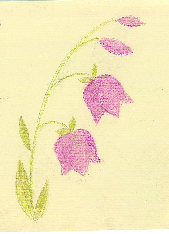 Рисунок цветок для детей