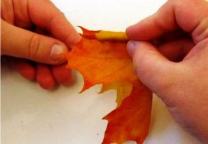Осенний букет своими руками для детского сада 4