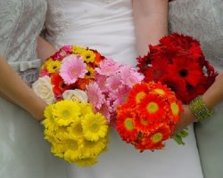 Какие цветы дарить молодоженам? Какие цветы не дарят на свадьбу? Букет на свадьбу своими руками
