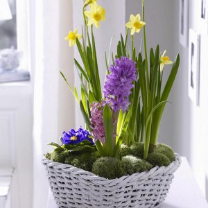 creative-bouquets-of spring-flowers1-2-1