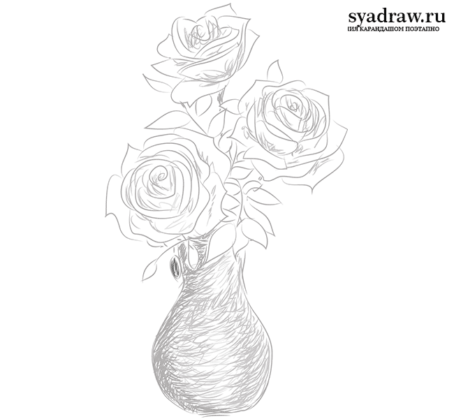 Как нарисовать розы в вазе карандашом поэтапно