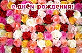 Открытка с Днем Рождения, цветы, розы