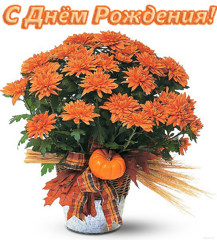 Открытка с Днем Рождения, цветы, осенний букет, оранжевые хризантемы
