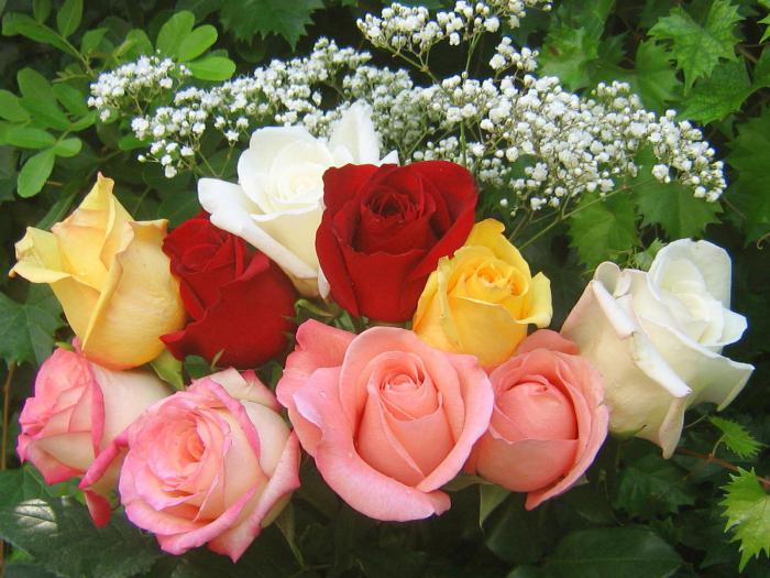 букет красивых роз