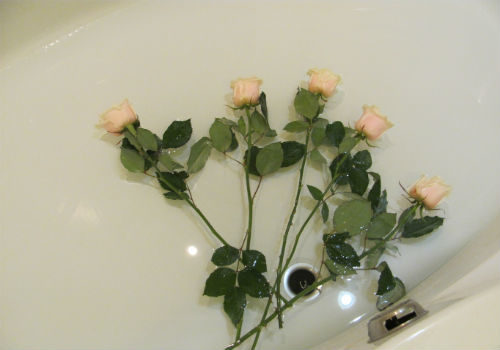 ванны для роз