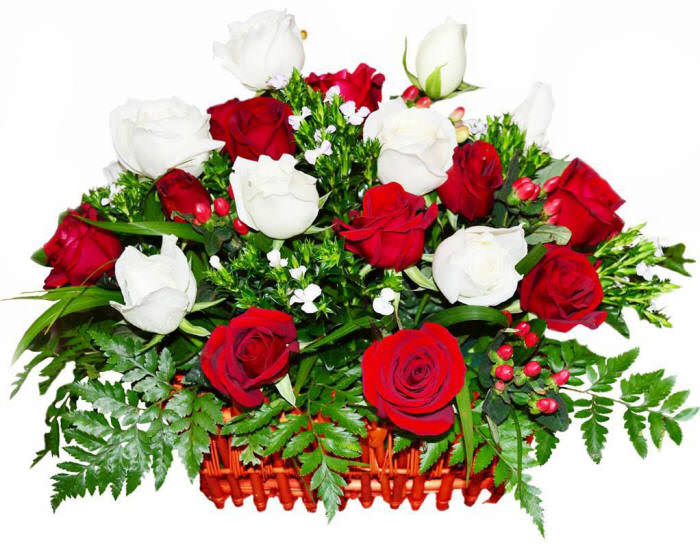 білі та червоні троянди в одному букеті