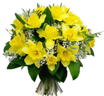 букет нарцисів