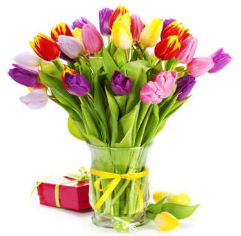 тюльпани та подарунок