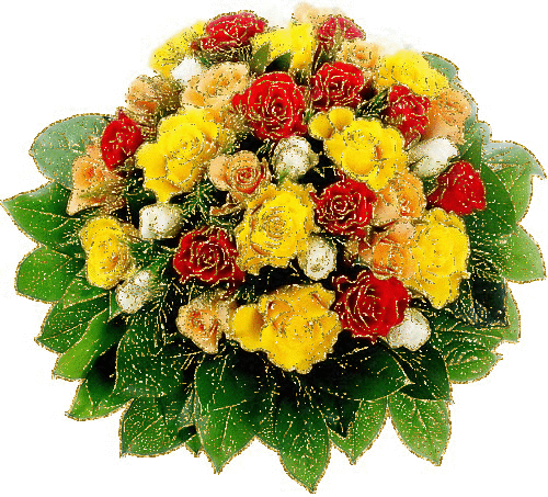 красиві троянди