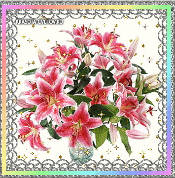 анімація рожеві лілії