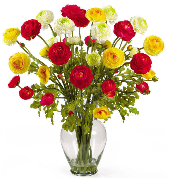 ранункулюс