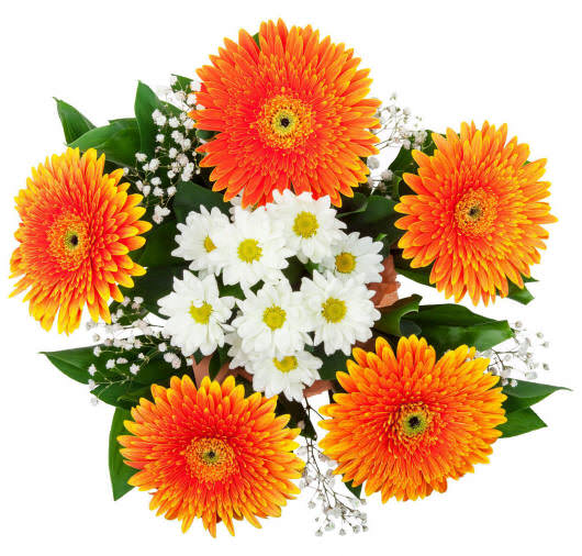 букет з герберами