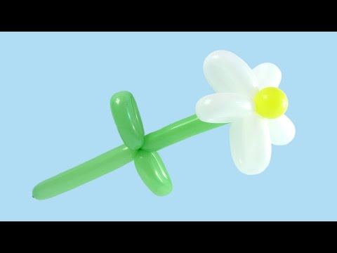 РОМАШКА ИЗ ДЛИННЫХ ШАРИКОВ ШДМ How to Make a Balloon Daisy