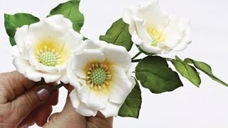 Как сделать красивые цветы из мастики (Beautiful flowers from mastic)