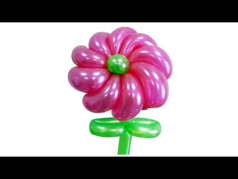 Цветок Ромашка из воздушных шаров
