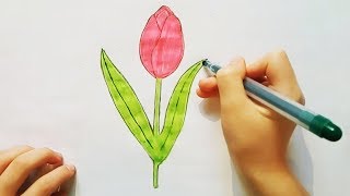 КАК НАРИСОВАТЬ ЦВЕТОК | ТЮЛЬПАН | Уроки рисования. Простые домашние рисунки карандашом (Эмилия)
