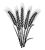 Черно-белый букет колосьев пшеницы | Векторный клипарт