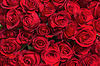 Красочный букет из красных роз для использования в качестве | Фото