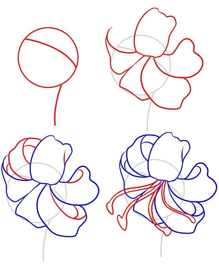Как нарисовать цветок - Лилия, фото 1