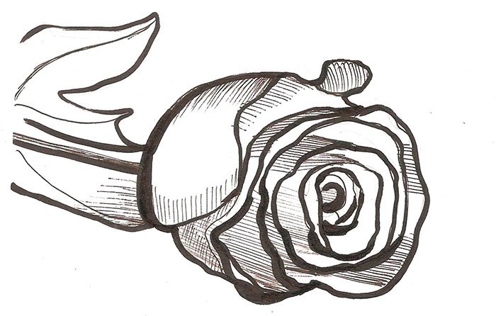 Как нарисовать розу шаг за шагом – схема, фото 5