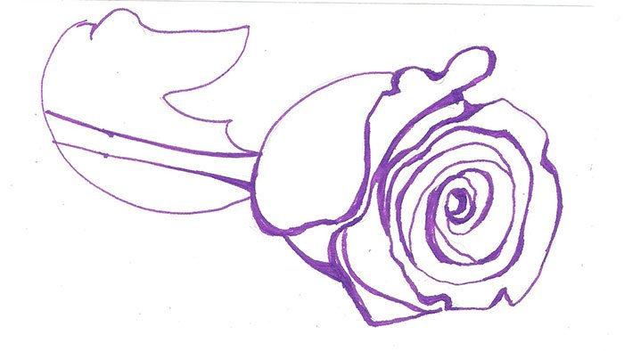 Как нарисовать розу шаг за шагом – схема, фото 4