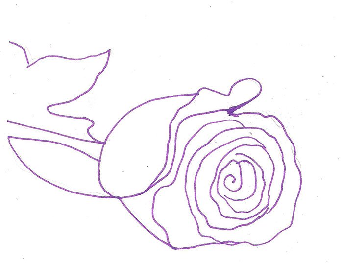 Как нарисовать розу шаг за шагом – схема, фото 3