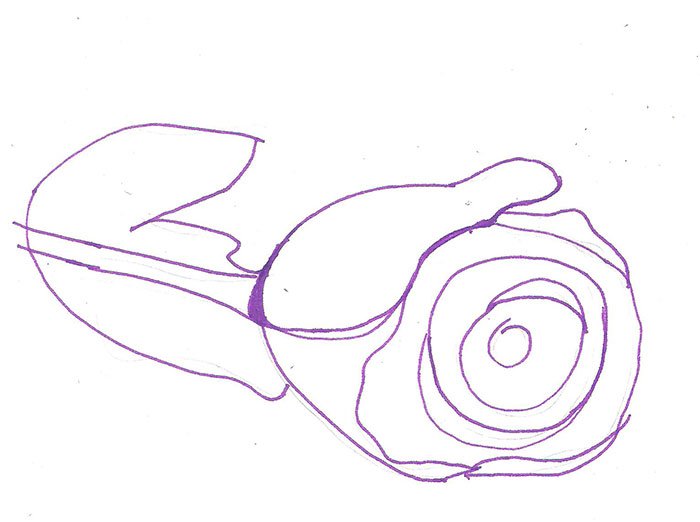 Как нарисовать розу шаг за шагом – схема, фото 2