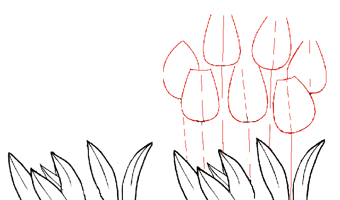 Как нарисовать тюльпаны Схема 3
