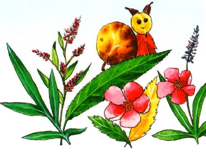 аплікація з осіннього листя, фото 10