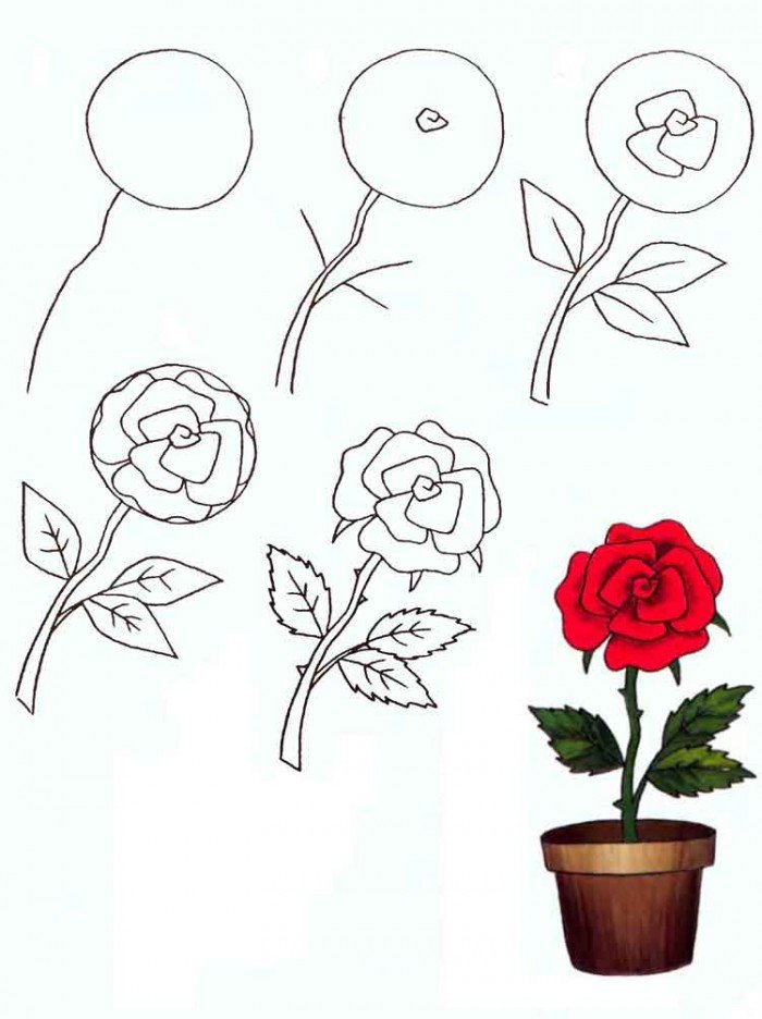 Как нарисовать цветок - Розу, фото 2
