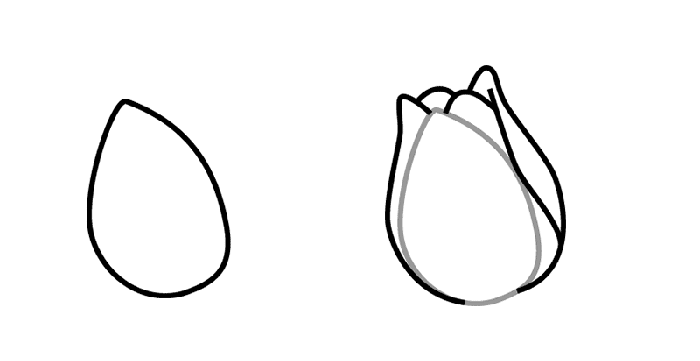 Как нарисовать тюльпаны Схема 1