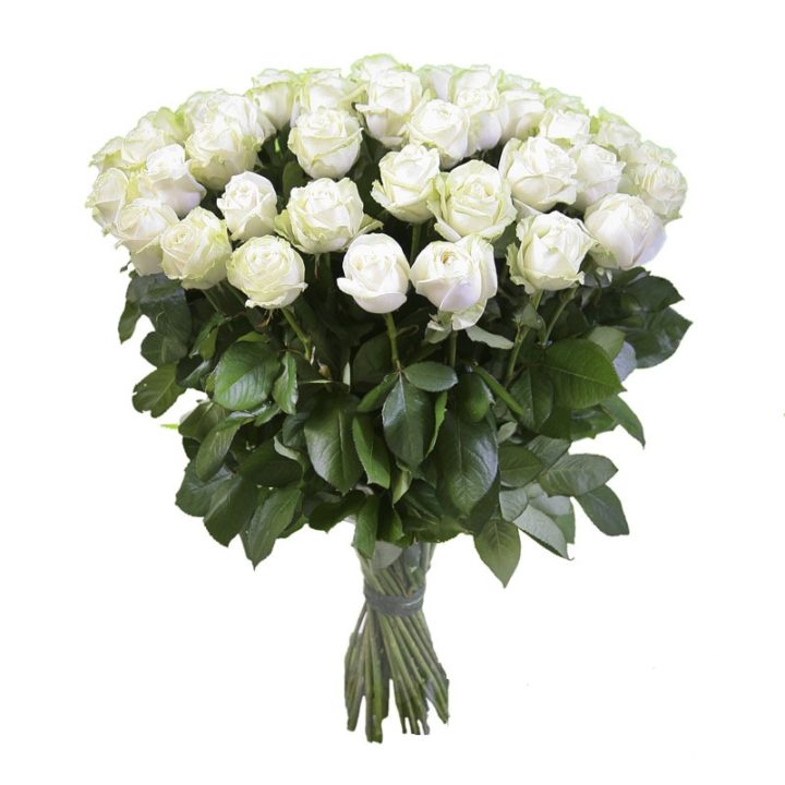 Белые розы - символ верной и вечной любви