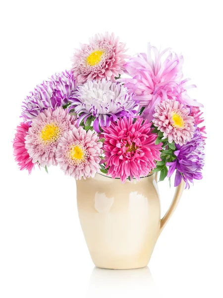 Букет астр. красивые цветы в вазе, изолированные на белом — стоковое фото