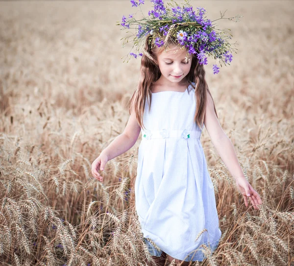 Красивая девочка в поле пшеницы — стоковое фото