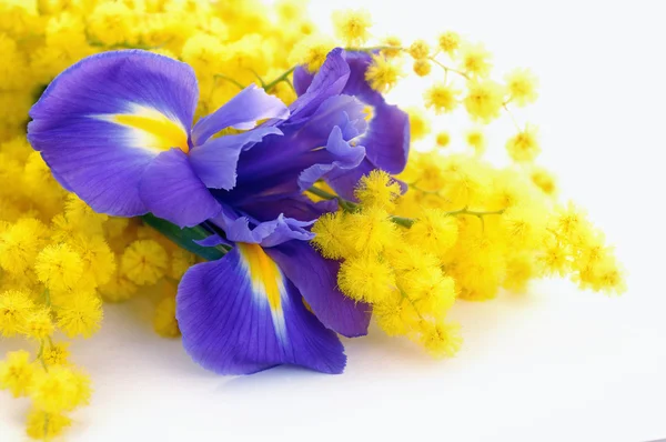 Букет цветов Стоковое Фото