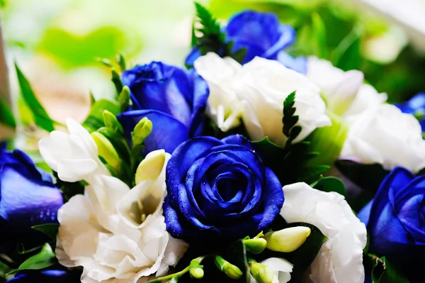 Невест голубые розы Стоковое Изображение
