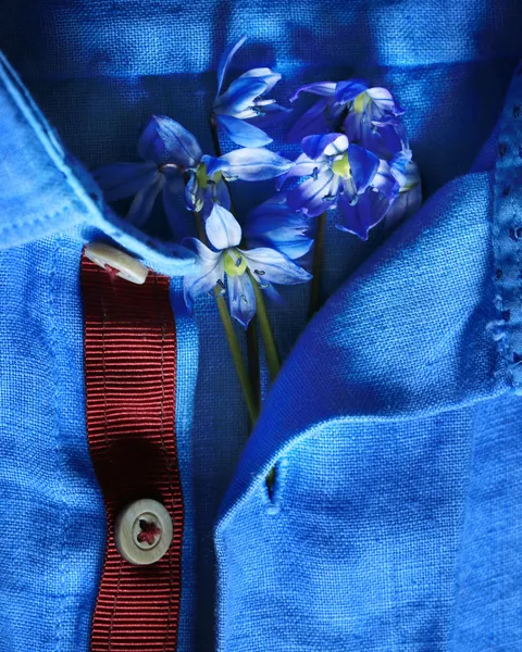 Букет голубые цветки. Стоковое Изображение
