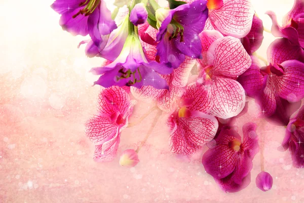 Очаровательный букет орхидей на розовом фоне — стоковое фото
