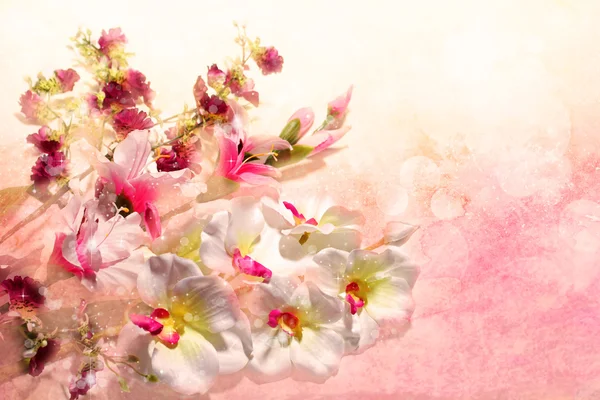 Прекрасный букет из цветов на розовом фоне — стоковое фото