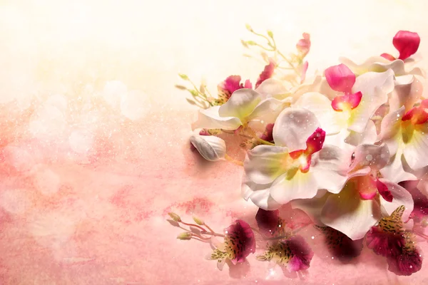Букет из белых орхидей на мягкий розовый фон — стоковое фото