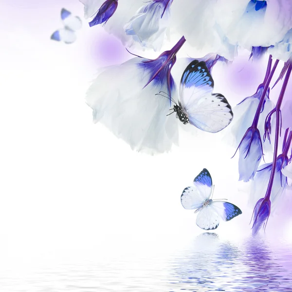 Букет голубые розы и бабочки Стоковая Картинка