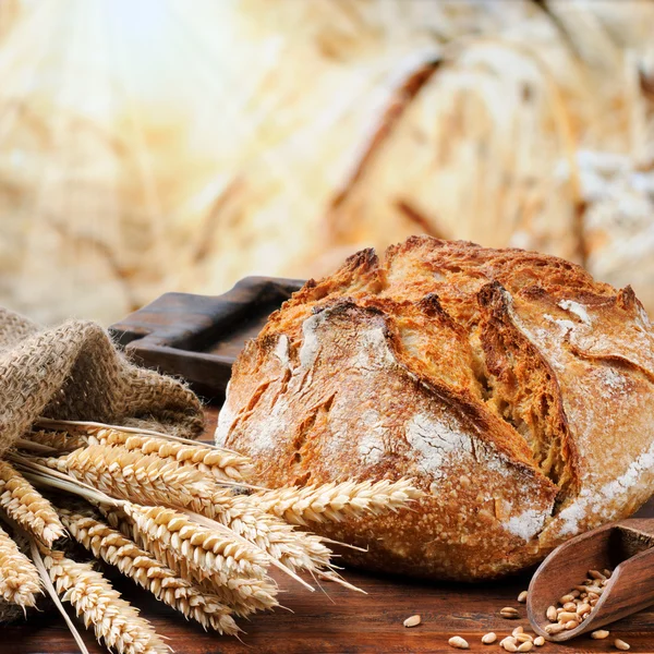 Свежеиспеченные традиционный хлеб — стоковое фото