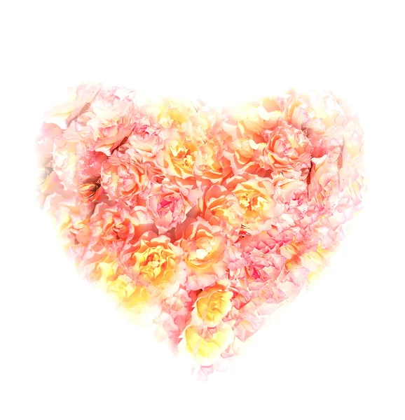Сердце из роз на белом фоне — стоковое фото