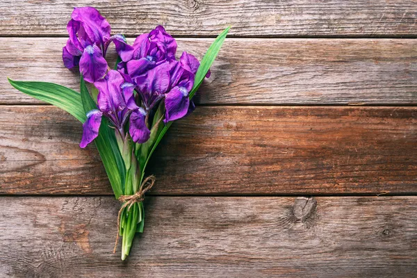 Цветы фиолетовые ирисы Лицензионные Стоковые Изображения