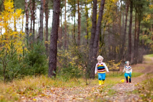 Дети, играющие в осеннем парке — стоковое фото