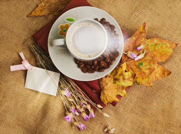 За чашечкой кофе, лежа на книгах с кленовыми листьями — стоковое фото