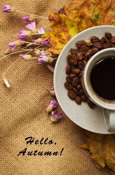 Чашка кофе с кленовых листьев и вечную цветы — стоковое фото