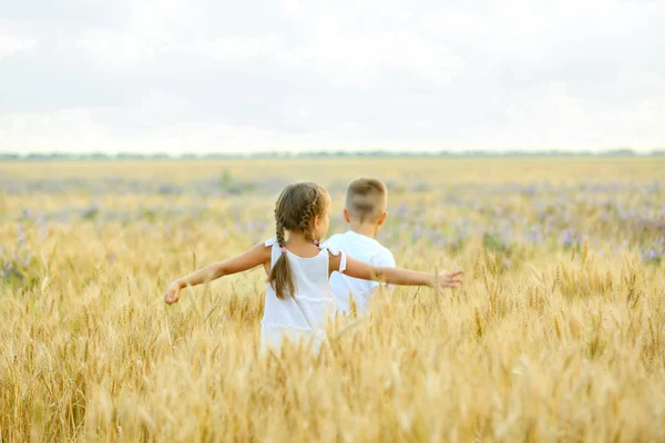 Счастливые дети в поле — стоковое фото